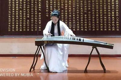 第八屆中國(guó)(國(guó)際)器樂文化藝術(shù)節(jié)南陽(yáng)站演出活動(dòng)圓滿舉行，助推文化藝術(shù)交流新篇章