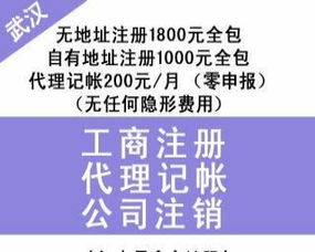 漢口專業(yè)財(cái)稅服務(wù) 財(cái)務(wù)代理、內(nèi)賬外賬管理、一般納稅人申請(qǐng)、清理舊賬與代辦貸款申報(bào)一站式解決方案
